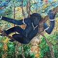 Bonobo